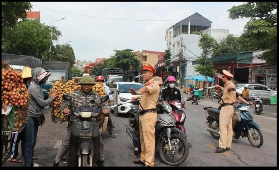 Hình ảnh 1