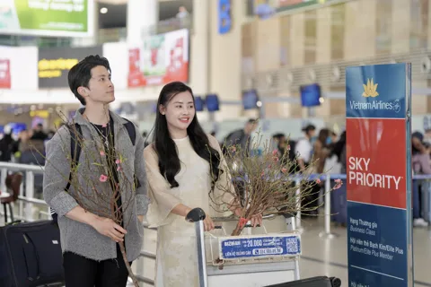 Vietnam Airlines triển khai dịch vụ vận chuyển mai, đào Tết Nguyên đán Bính Ngọ 2026