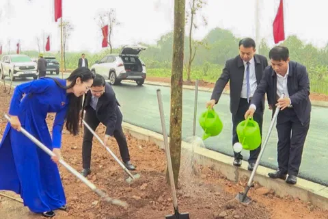 Hát Môn phát động Tết trồng cây Xuân Bính Ngọ 2026, quyết tâm hoàn thành mục tiêu 5.000 cây xanh