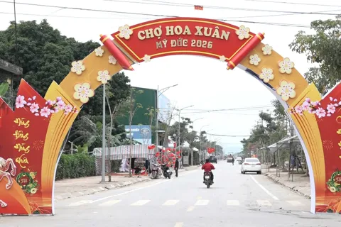 Rực rỡ chợ hoa Xuân Bính Ngọ 2026 xã Mỹ Đức