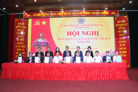 Cụm thi đua số 9: triển khai hiệu quả các phong trào thi đua