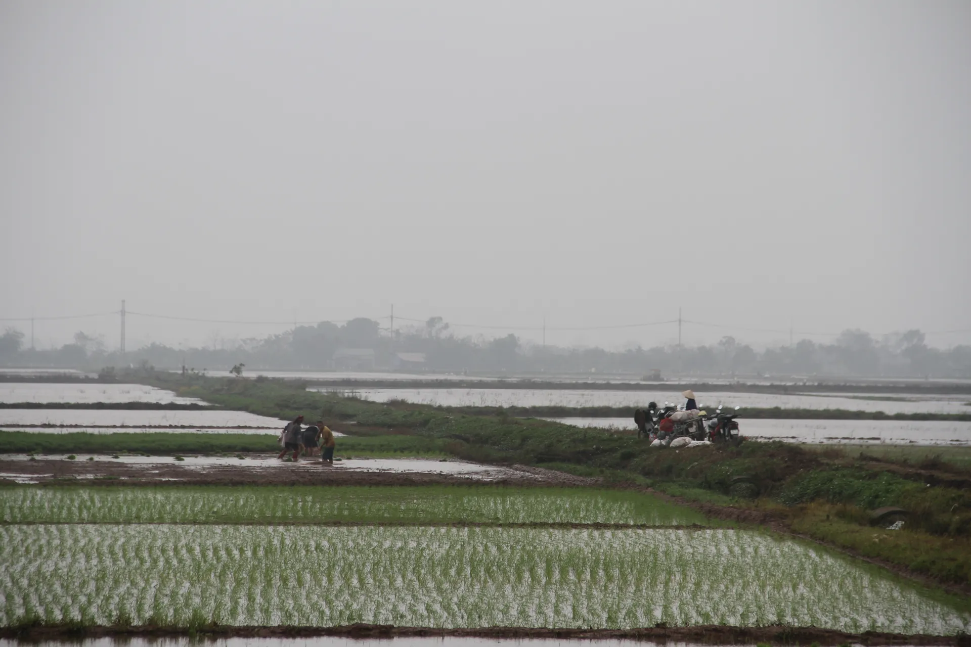 Nông dân Phúc Sơn xuống đồng đầu Xuân mới
