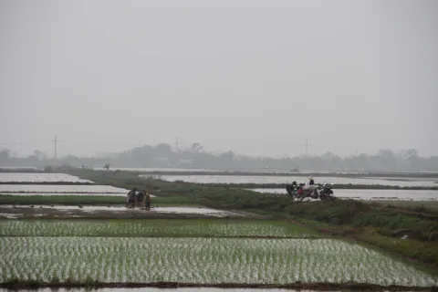 Nông dân Phúc Sơn xuống đồng đầu Xuân mới
