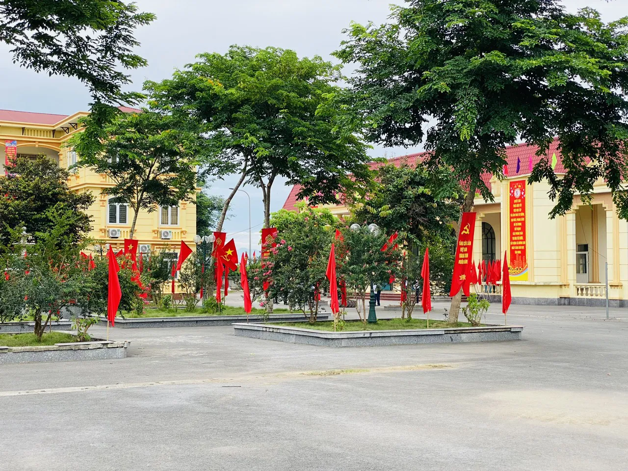 Hình ảnh 2