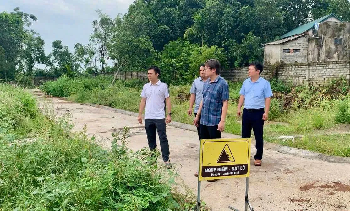 Hình ảnh 2