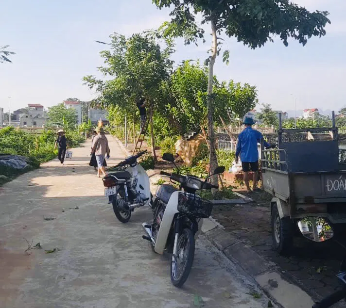 Hình ảnh 7