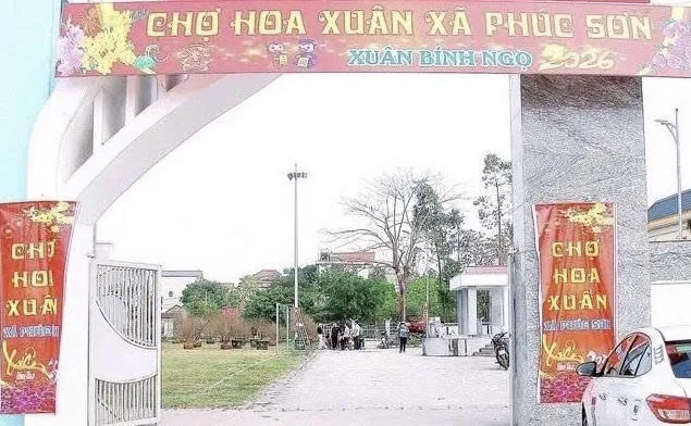 Xã Phúc Sơn: Rực rỡ sắc hoa, hương Xuân lan tỏa