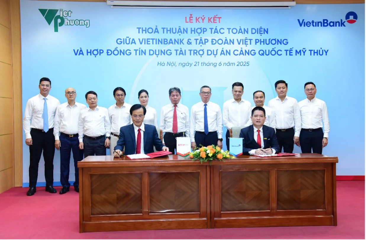 Hình ảnh 3