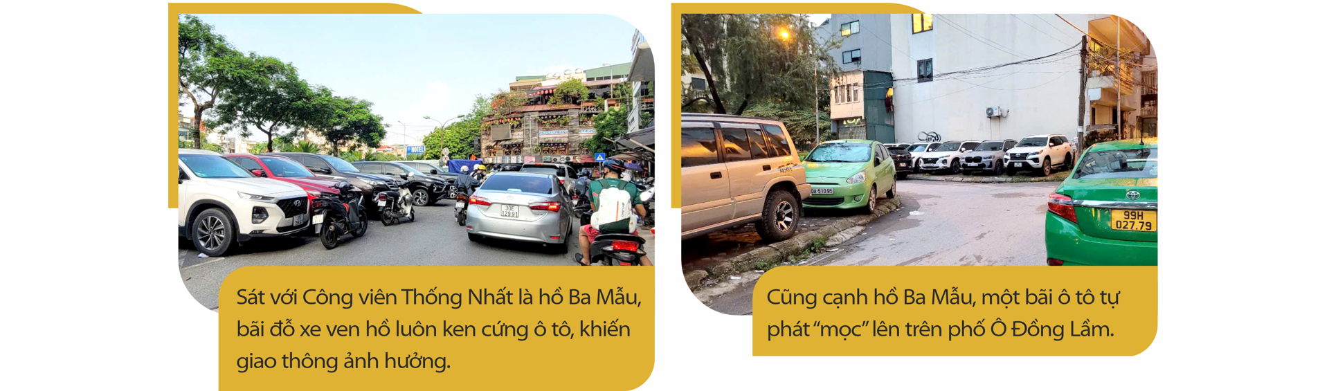 Hình ảnh 7