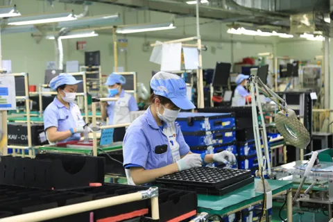 Nền kinh tế vận hành từ dữ liệu biến mọi quyết định thành con số thực