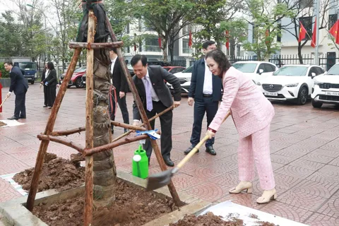 Hưởng ướng Tết trồng cây để xây dựng phường Dương Nội xanh - sạch - đẹp