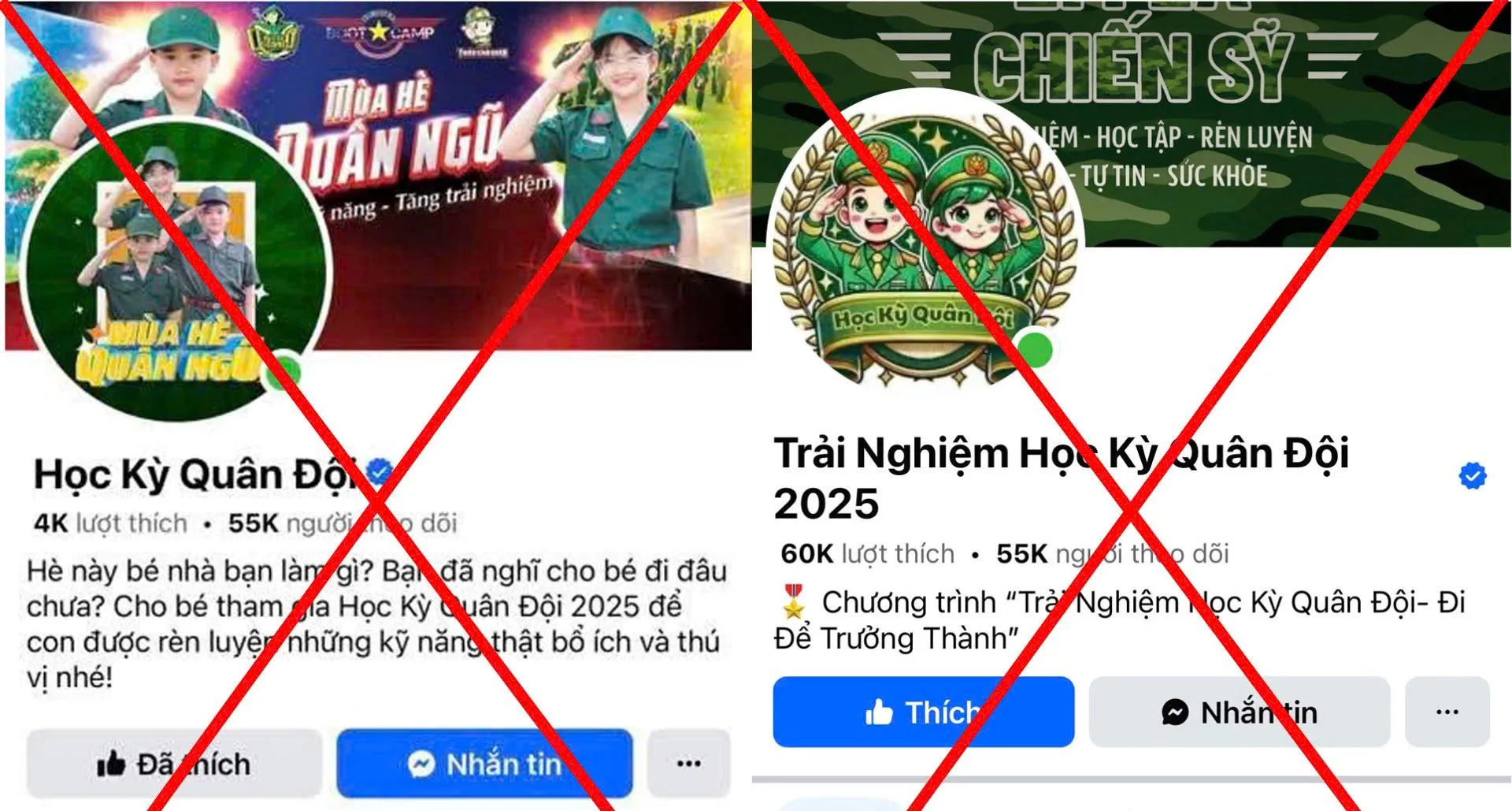 Hình ảnh 1