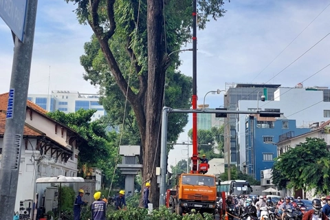 Đảm bảo liên lạc thông suốt 24/24 giờ ứng phó thiên tai
