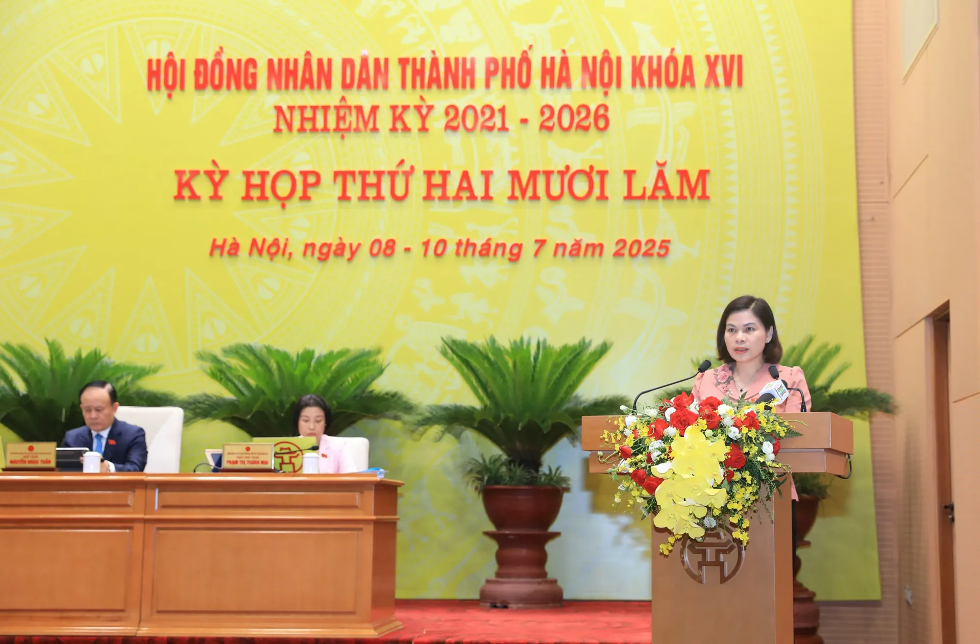 Hình ảnh 2