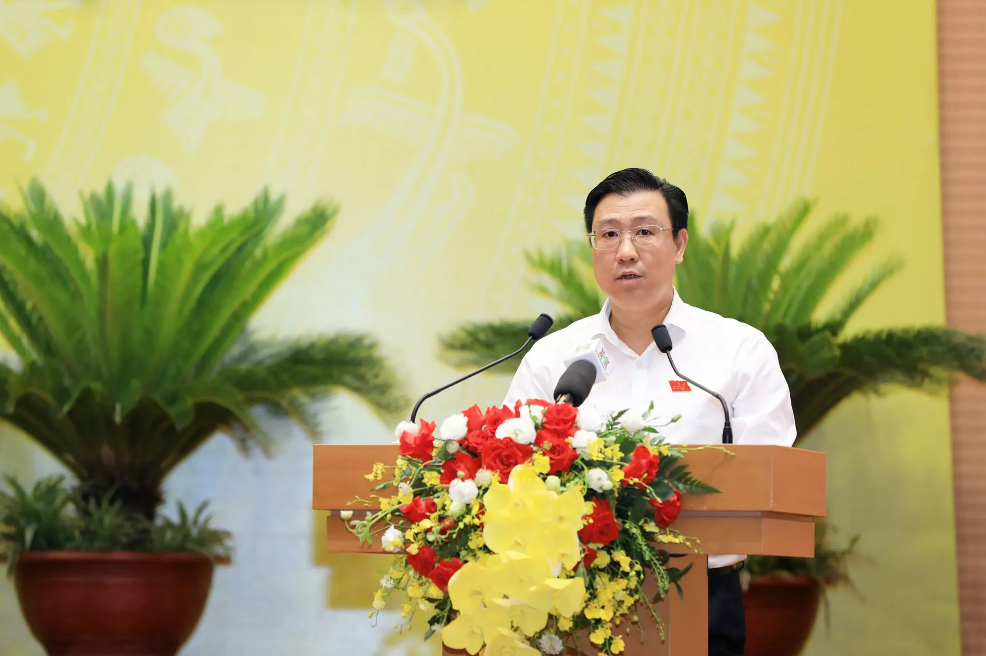 Hình ảnh 2