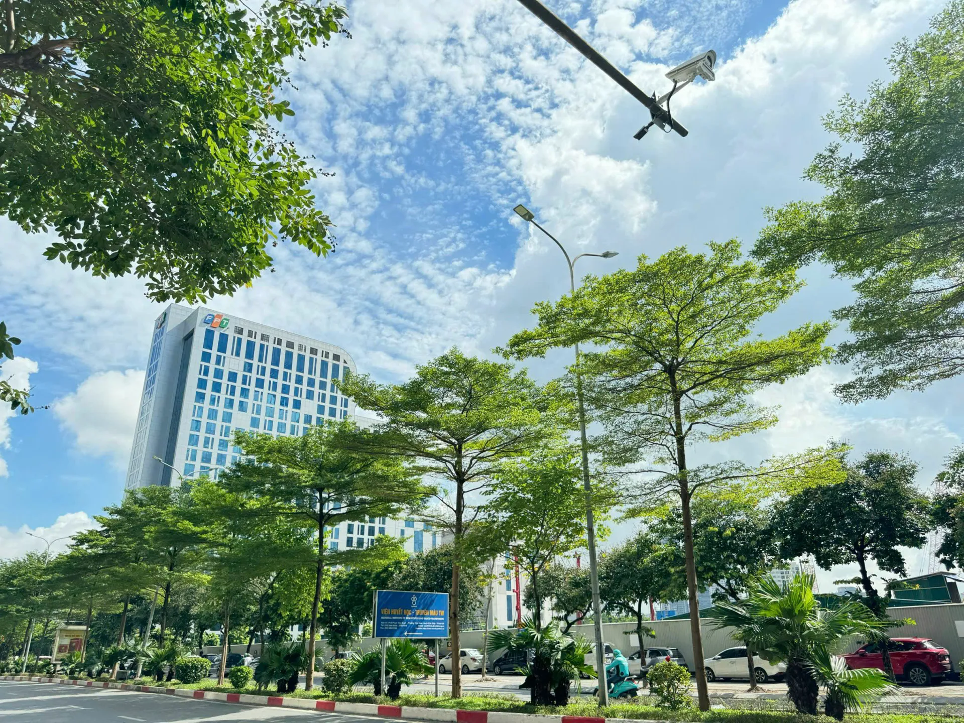 Hình ảnh 2