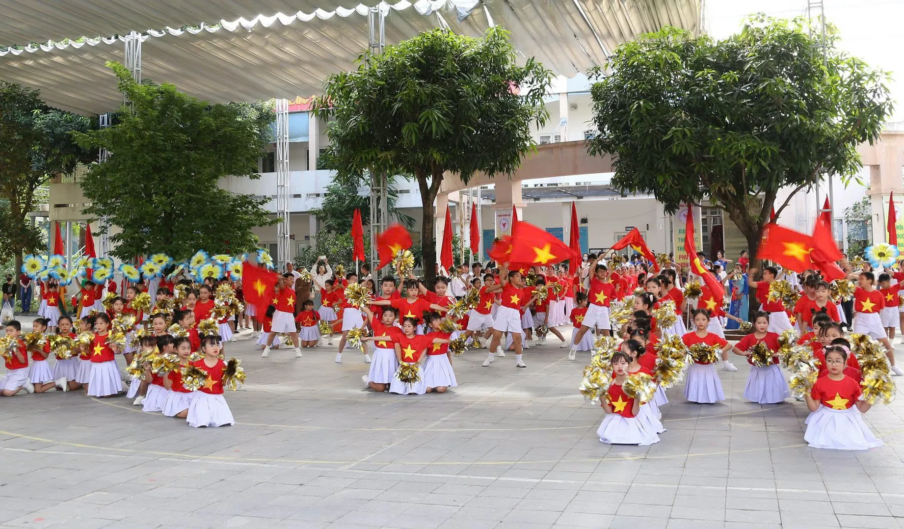 Hình ảnh 4