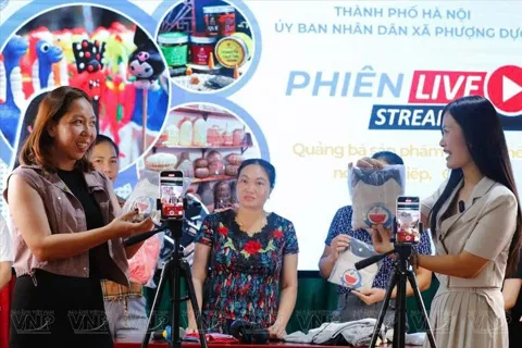 Chuyển đổi số nông thôn ở Phượng Dực: Từ “vùng trắng” công nghệ đến mô hình lan tỏa