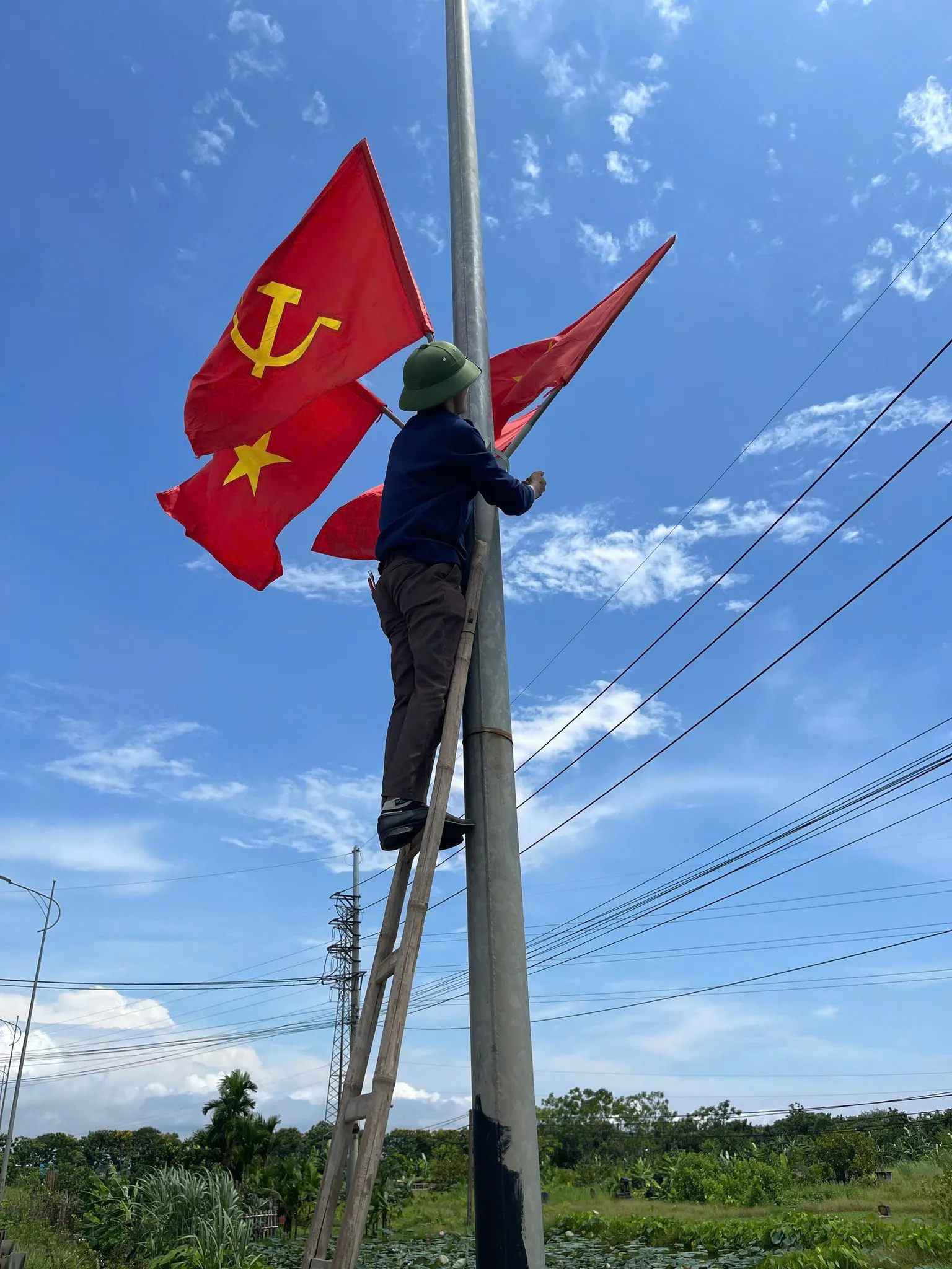 Hình ảnh 2
