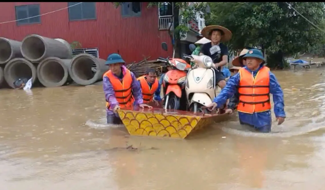 Hình ảnh 2