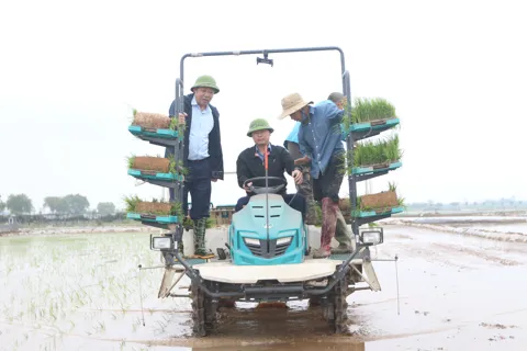 Xã Tây Phương: tất bật cho vụ mùa mới
