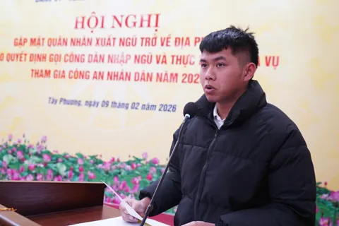 Tuổi 22 viết đơn tình nguyện: hai năm quân ngũ để trưởng thành một đời