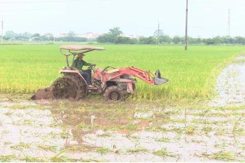 Bảo đảm quyền lợi người dân khi đất nông nghiệp khi hết hạn sử dụng