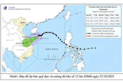 Miền Trung ứng phó bão số 12: Mưa lớn, gió mạnh, nguy cơ lũ quét và sạt lở cao
