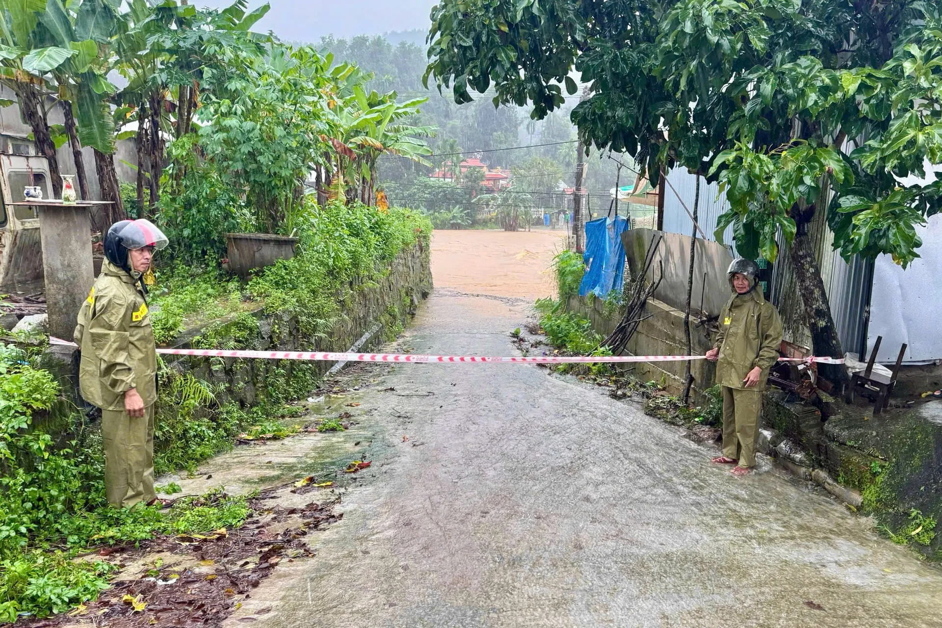 Hình ảnh 2