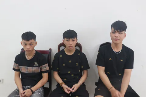 Đà Nẵng: triệt phá nhóm trộm liên tiếp đột nhập Điện máy Xanh và nhiều cửa hàng lớn