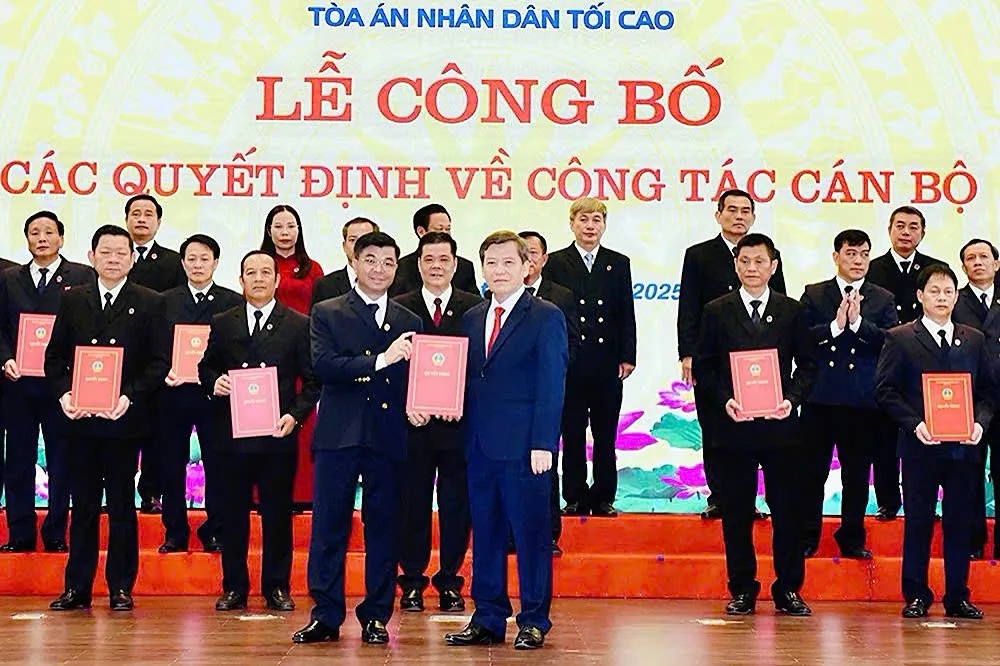 Hình ảnh 1