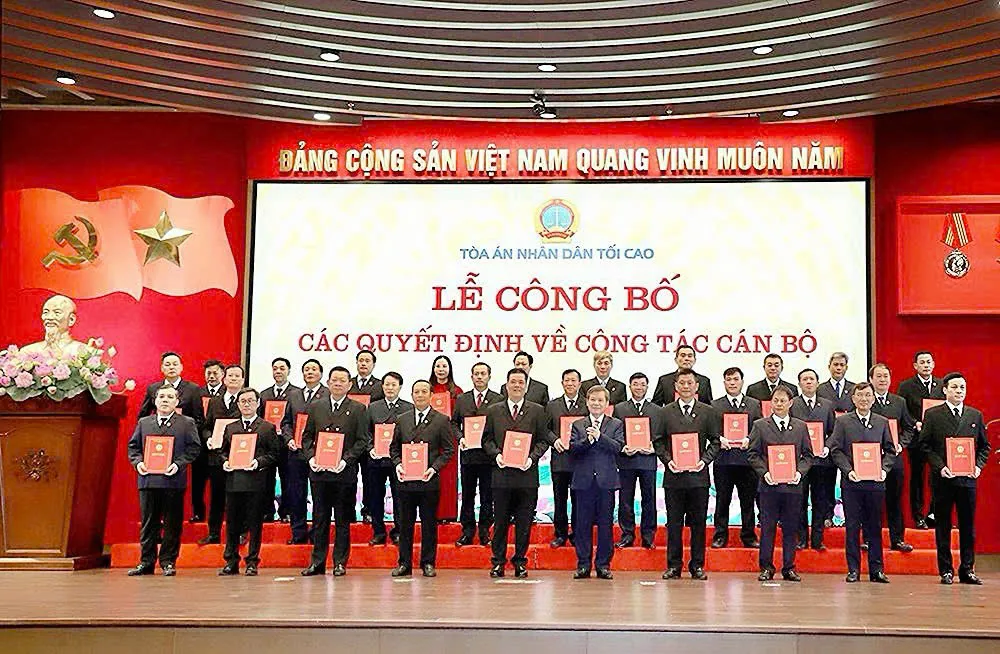 Hình ảnh 2
