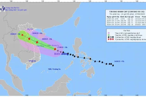 Đà Nẵng vào trạng thái khẩn cấp, chủ động ứng phó bão số 10