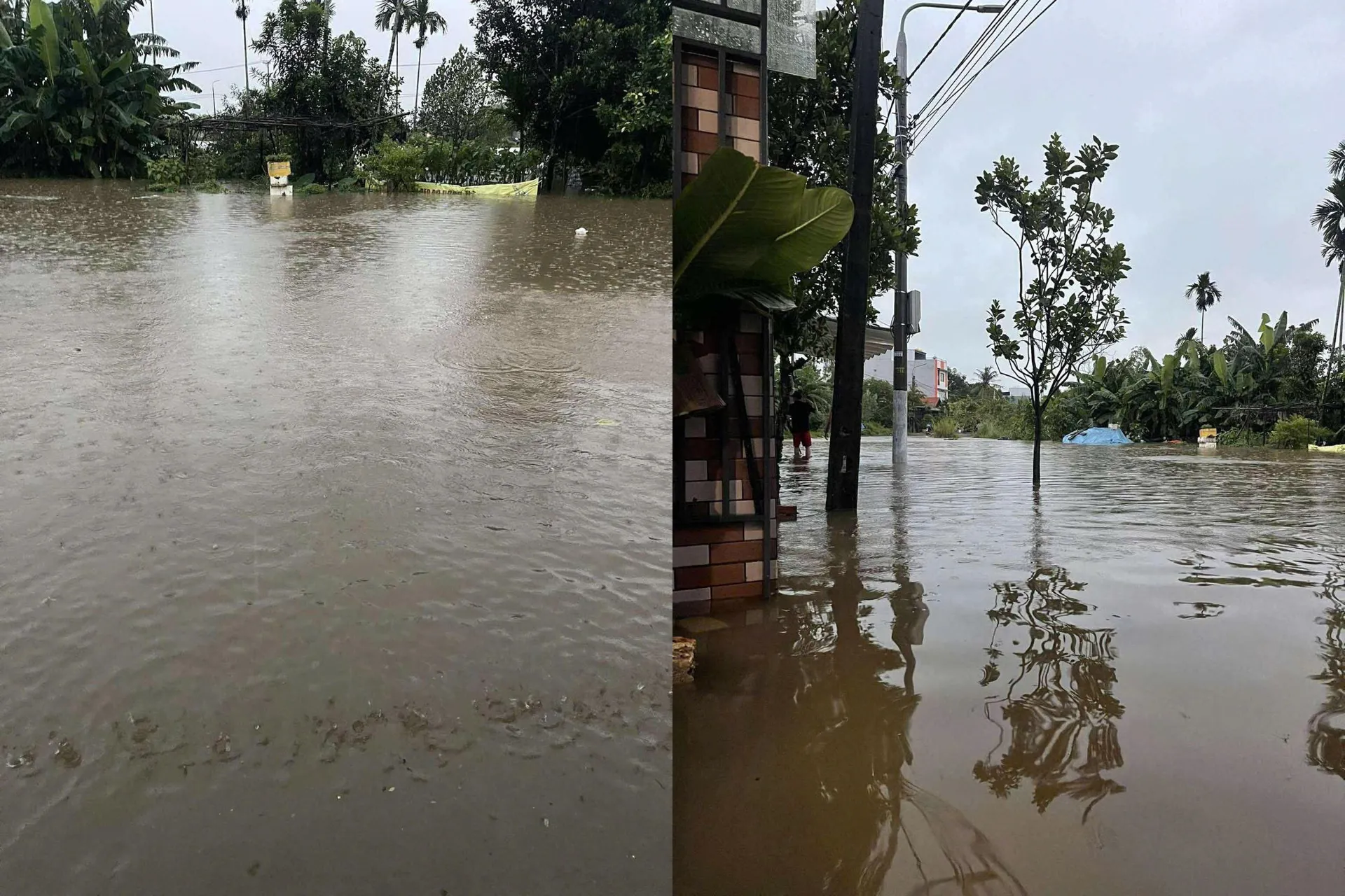 Hình ảnh 3
