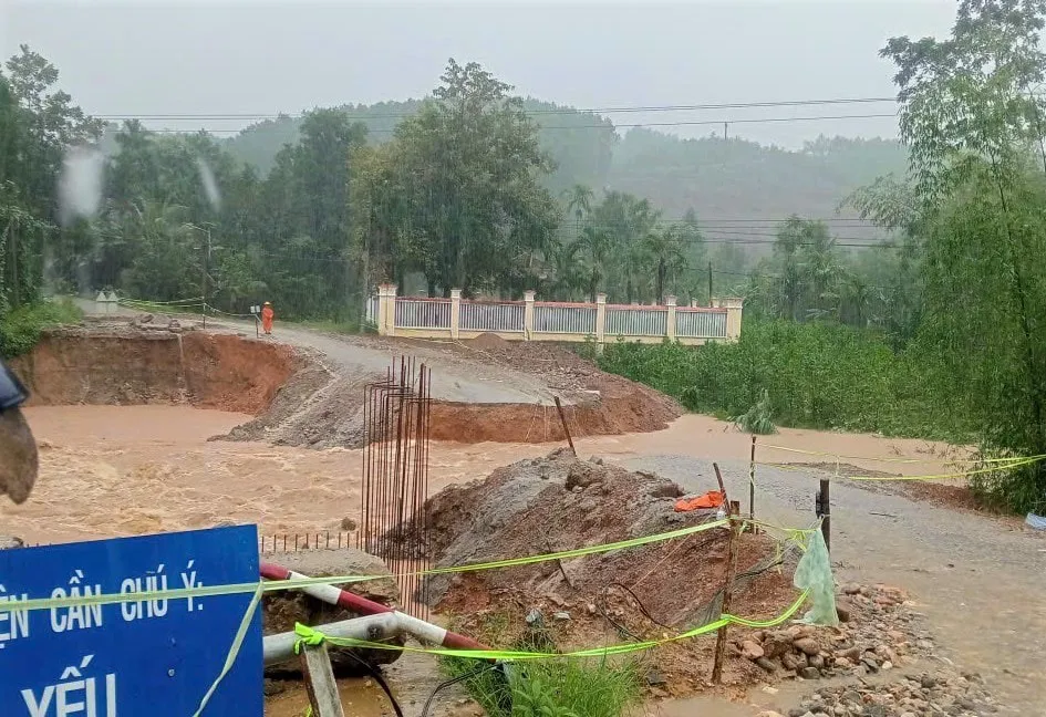 Hình ảnh 1