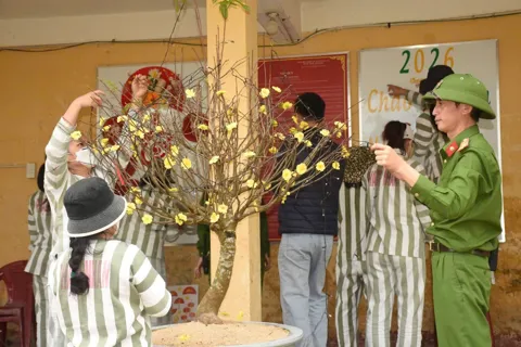 Mùa Xuân ấm áp sau những cánh cửa sắt