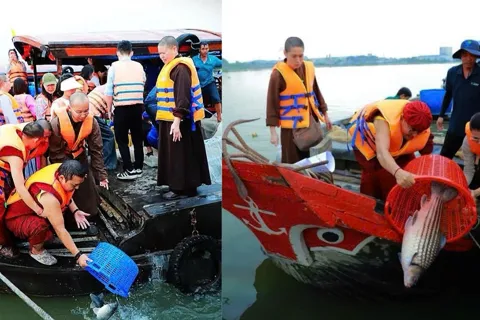 Phóng sinh - từ tâm từ bi đến trách nhiệm với môi trường sống