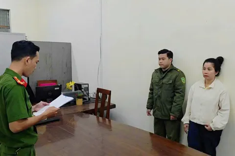 Triệt phá đường dây buôn lậu tôm hùm giống qua đường hàng không, trị giá hơn 6,77 tỷ đồng