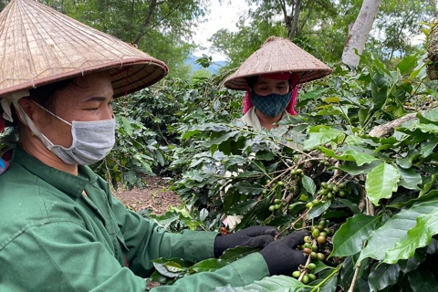 Điện Biên: đa dạng hóa sinh kế, hướng tới mục tiêu giảm nghèo bền vững