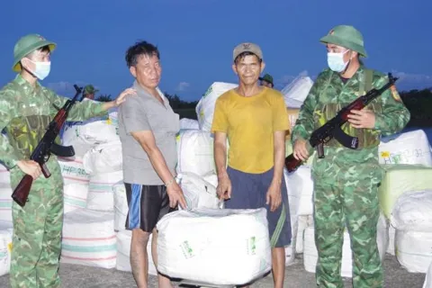Vĩnh Long: phát hiện, thu giữ hàng tấn sản phẩm nghi từ động vật hoang dã