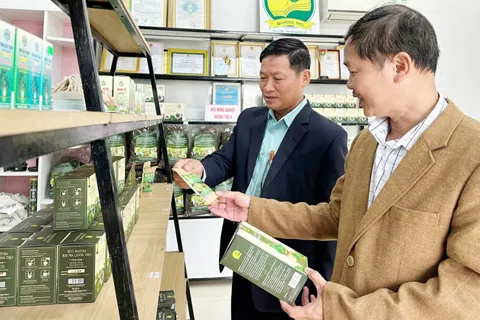 Huế: khẳng định vai trò trụ cột của kinh tế tập thể