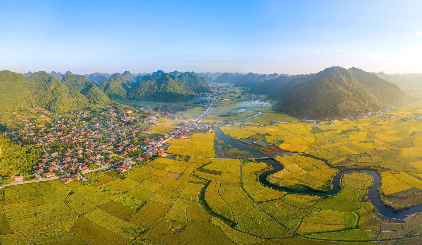 Hình ảnh 1