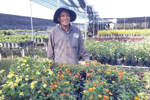 Đồng Tháp: thế mạnh địa phương tạo thêm sức bật cho ngành du lịch