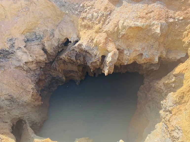 Hình ảnh 1