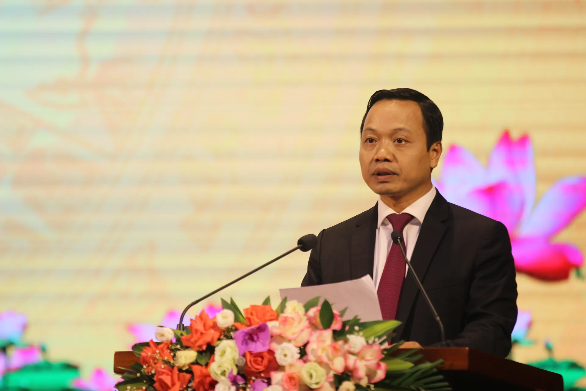 Hình ảnh 3