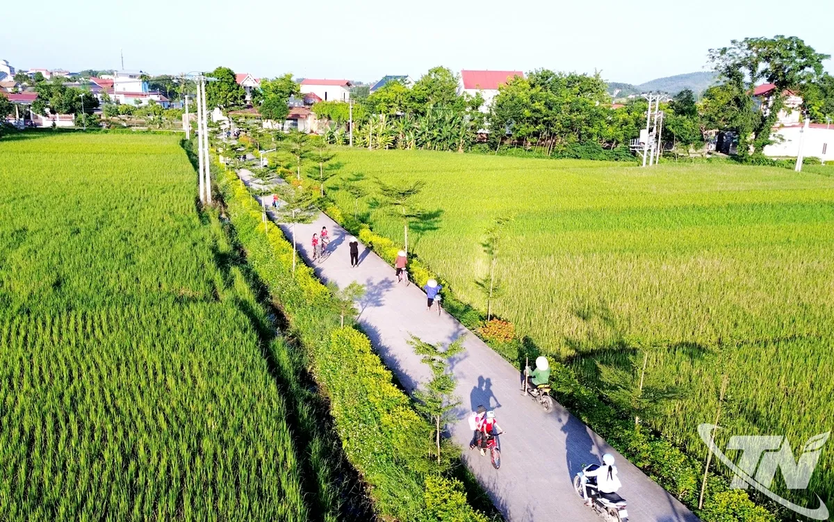 Thái Nguyên: coi phát triển giao thông nông thôn là nhiệm vụ trọng tâm trong xây dựng nông thôn mới
