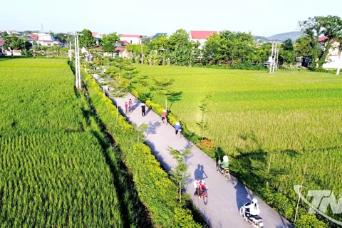 Thái Nguyên: coi phát triển giao thông nông thôn là nhiệm vụ trọng tâm trong xây dựng nông thôn mới