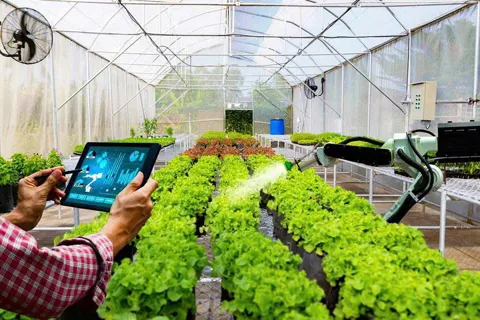 Vĩnh Long: hướng đến nền nông nghiệp thông minh, hiện đại