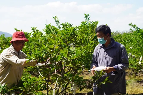 Tây Ninh: triển khai nhiều biện pháp hướng tới giảm nghèo bền vững