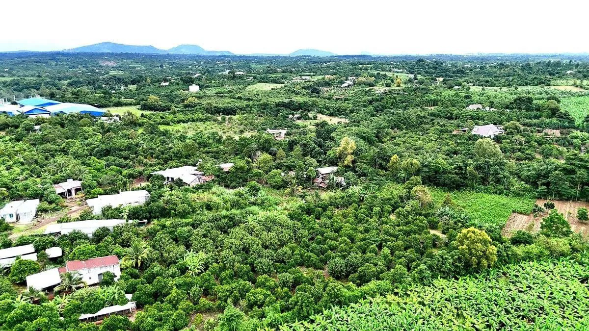 Đồng Nai: định hướng quan trọng để phát triển ngành nông nghiệp bền vững
